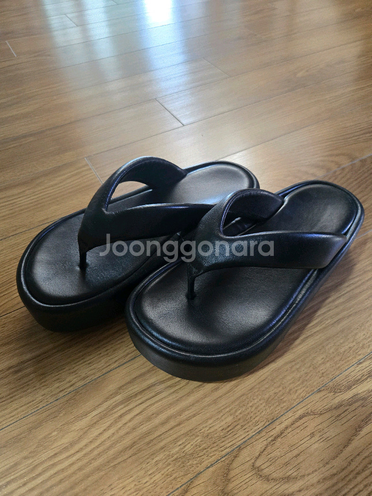 발렌시아가쪼리--0