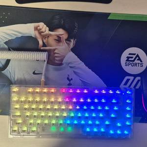 윤지 x75 pro 키보드 +g102 +코일 케이블