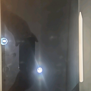 아이패드 프로 m4 11 + 애플펜슬프로+애케플 팝니다