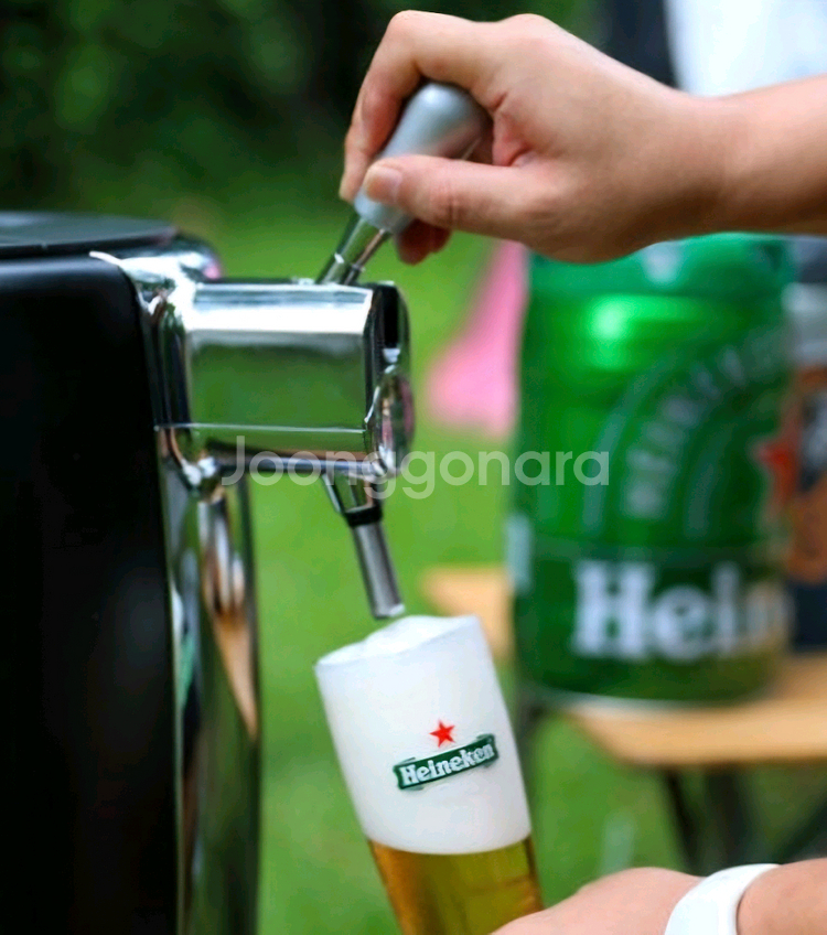 테팔 비어텐더 생맥주 디스펜서--3