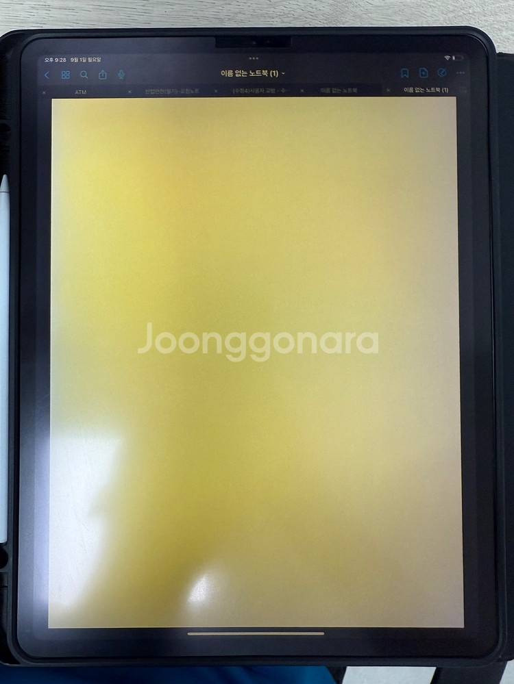 아이패드프로 12.9 3세대 64기가 셀룰러--4
