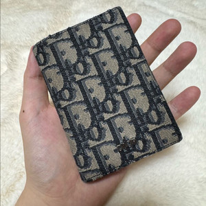 디올 오블리크 오거나이저