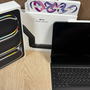 아이패드 프로 m4 13인치 셀룰러 256gb
