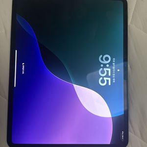 아이패드 프로 m4 13인치 256기가 셀룰러