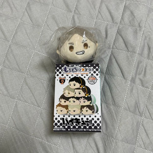 하이큐 스가와라 코우시 모찌마스 넨도 누이 후와 피규어 이미지