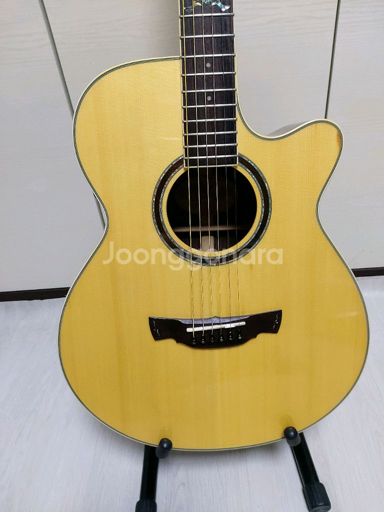 Crafter Amaze Plus 통기타--1
