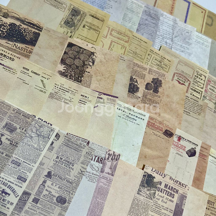 [ 빈티지 다꾸 ] 라벨 식물 다양한 배경지 60장--0