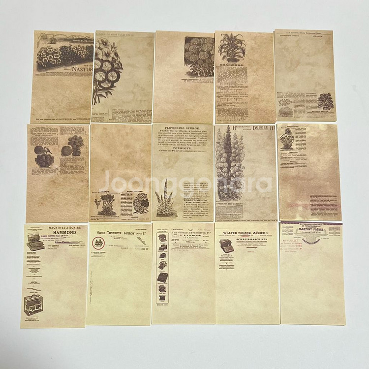 [ 빈티지 다꾸 ] 라벨 식물 다양한 배경지 60장--4