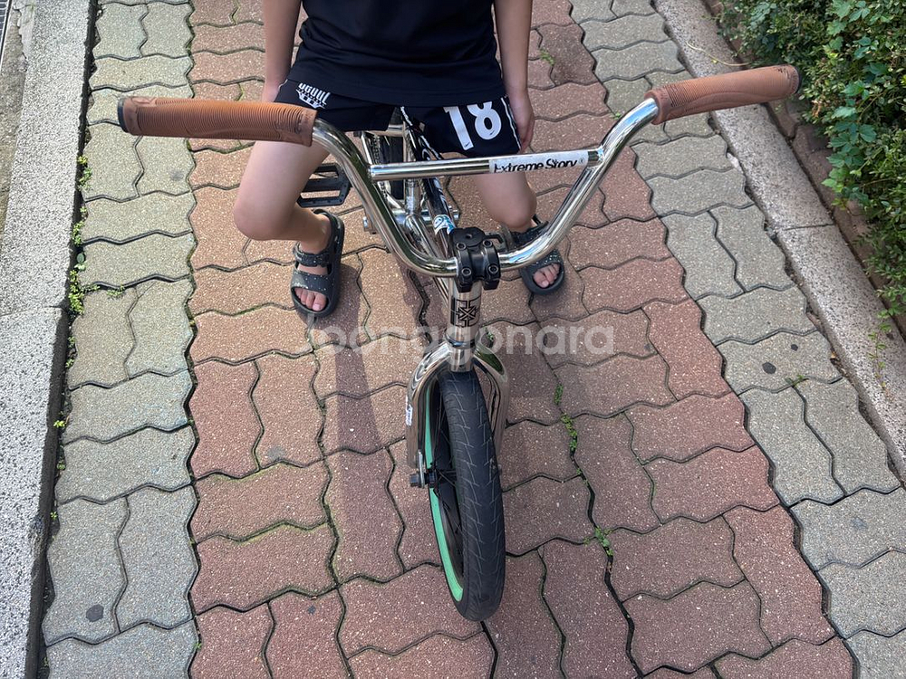 FITBIKECO 16인치 BMX--3