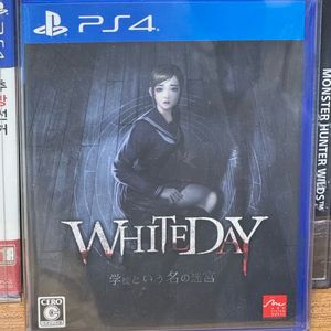 PS4 화이트데이 일본판