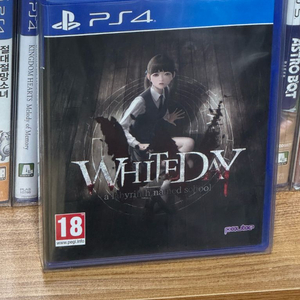 PS4 화이트데이 유럽판