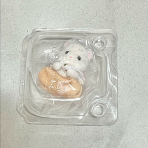 실바니안 쿠지 설표