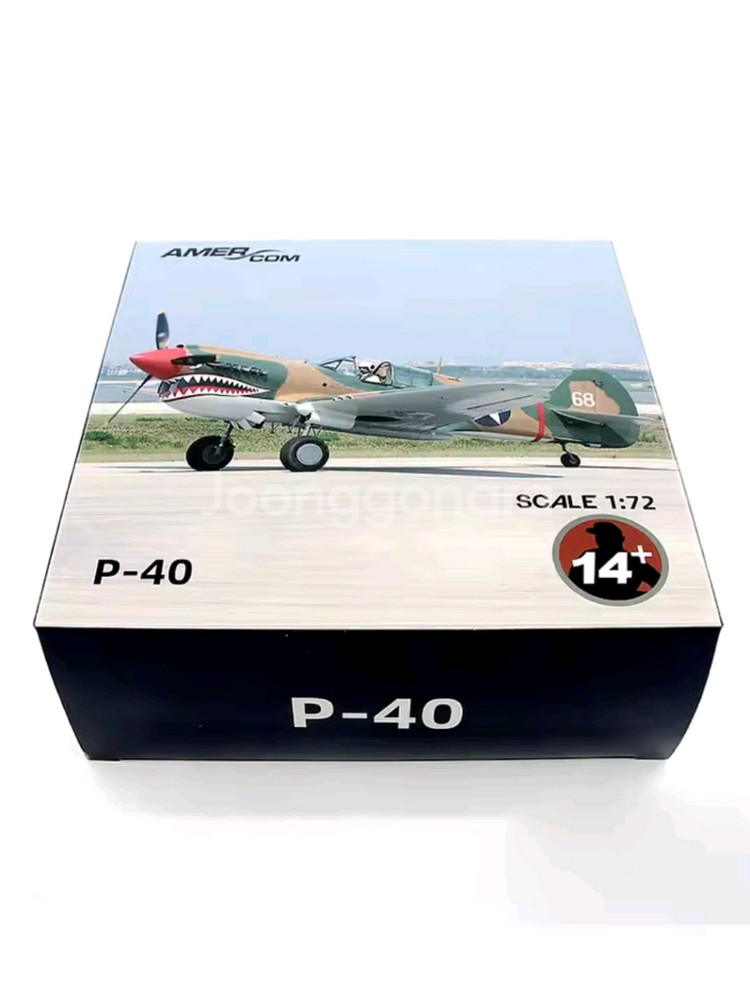 (금속) 플라잉 타이거 P-40C 전투기 모형(피규어)--9