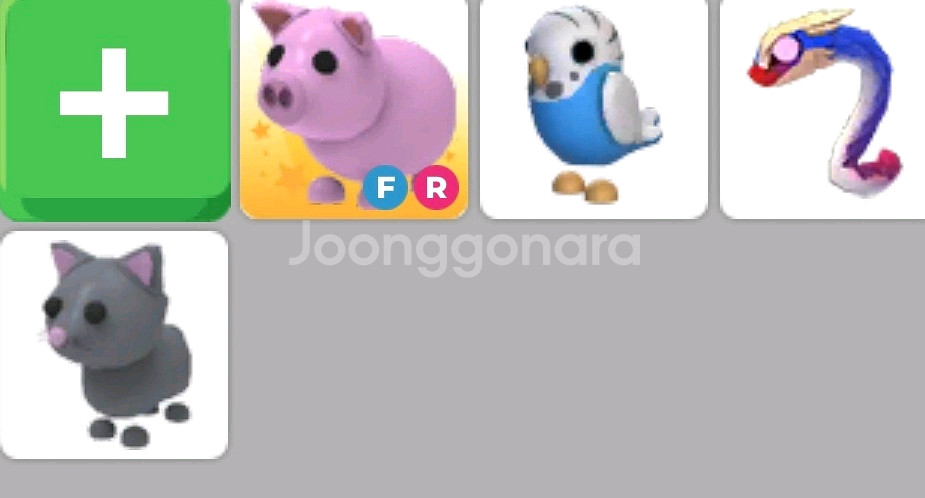 입양하세요 FR 돼지--0