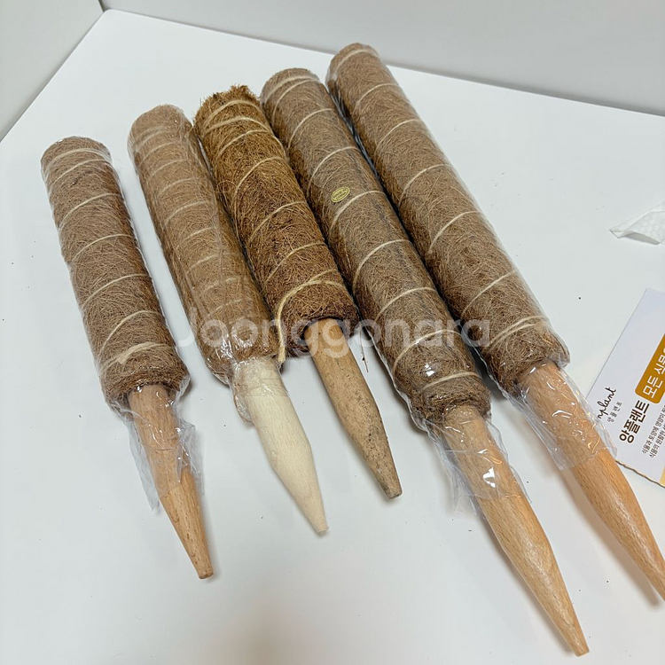 코코봉 수태봉 식물지지대--0