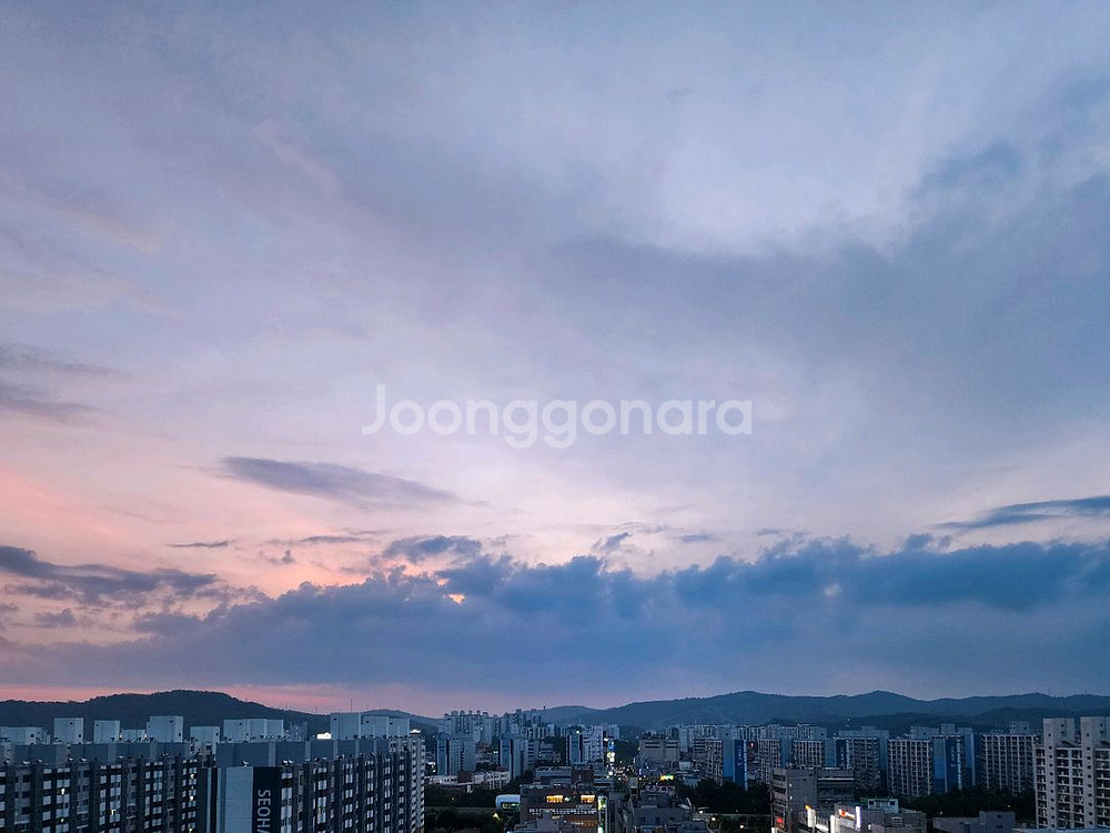 L 마운트 망원 삽니다.--0