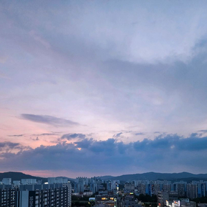 L 마운트 망원 삽니다.