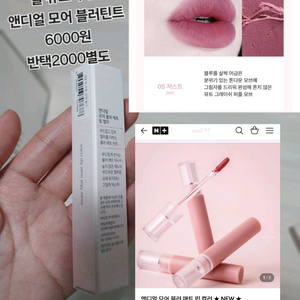 앤디얼 모어 블러 매트 립컬러 틴트 05저스트