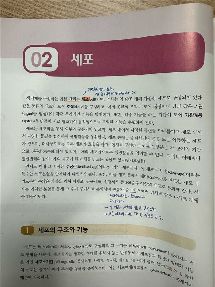 방사선영상학, 방사선생물학, 인체생리학, 영상정보학--2