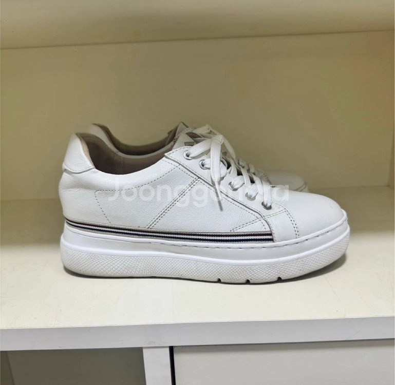 소다 운동화 키높이5cm 240--5