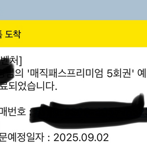 롯데월드 매직패스