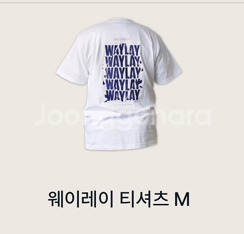 발로란트 웨이레이 티셔츠M--0