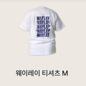 발로란트 웨이레이 티셔츠M