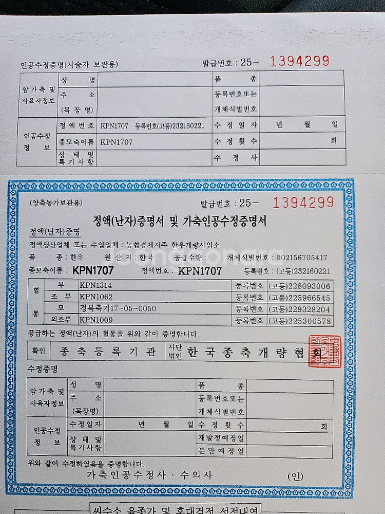 한우정액 kpn1707--1