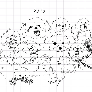 그림그려드려요