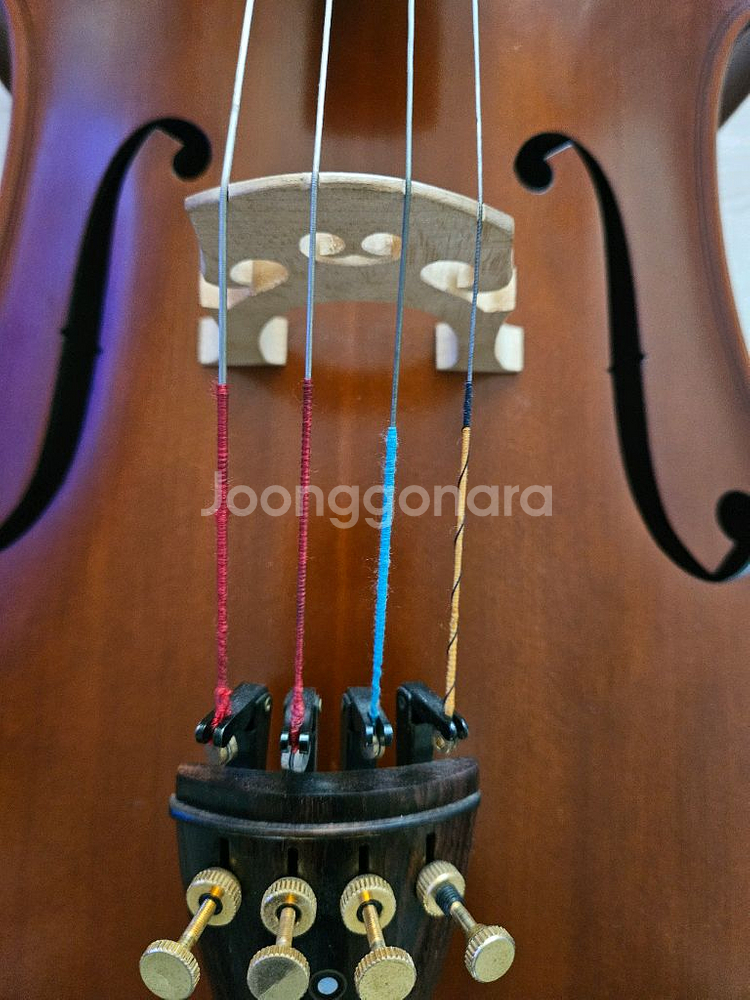첼로 4/4 팝니다(Cadanza Handmade)--1