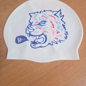 졸린 헤이 수모