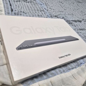 삼성 갤럭시 탭 S10 플러스 Wi-Fi 512GB