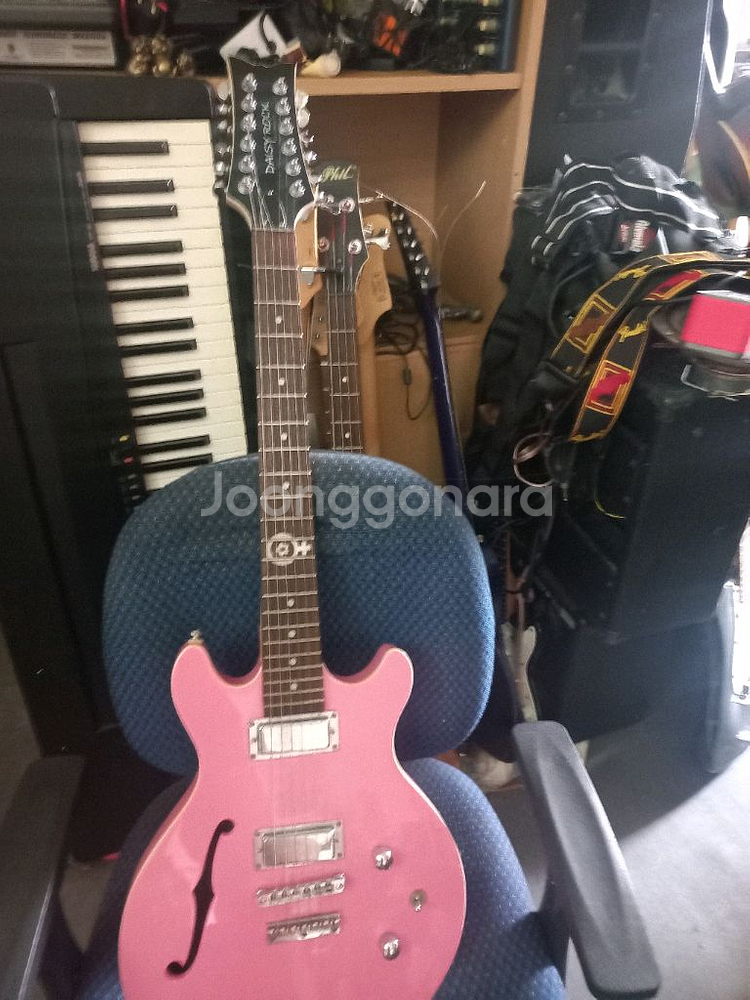 DAISY ROCK 12현 일렉기타--3