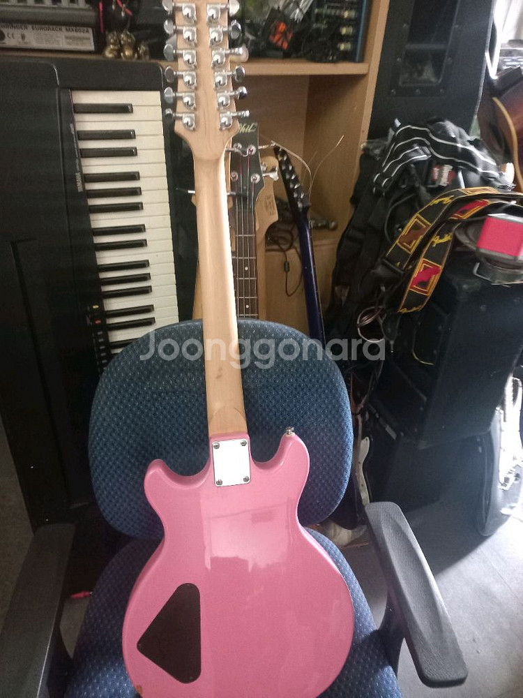 DAISY ROCK 12현 일렉기타--6