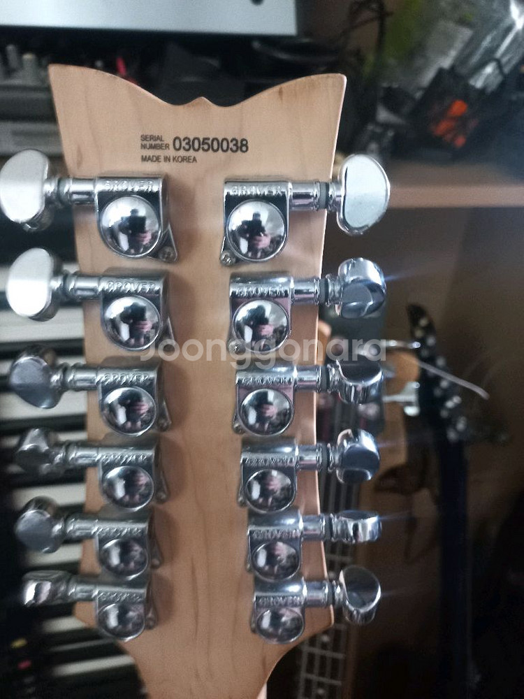 DAISY ROCK 12현 일렉기타--4