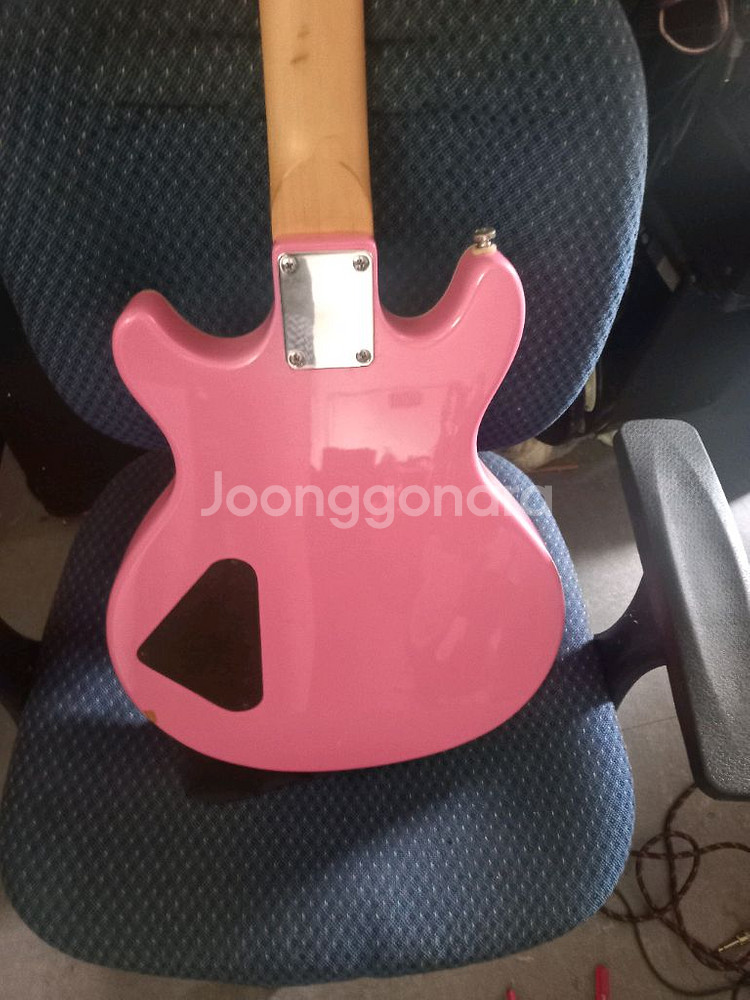 DAISY ROCK 12현 일렉기타--5