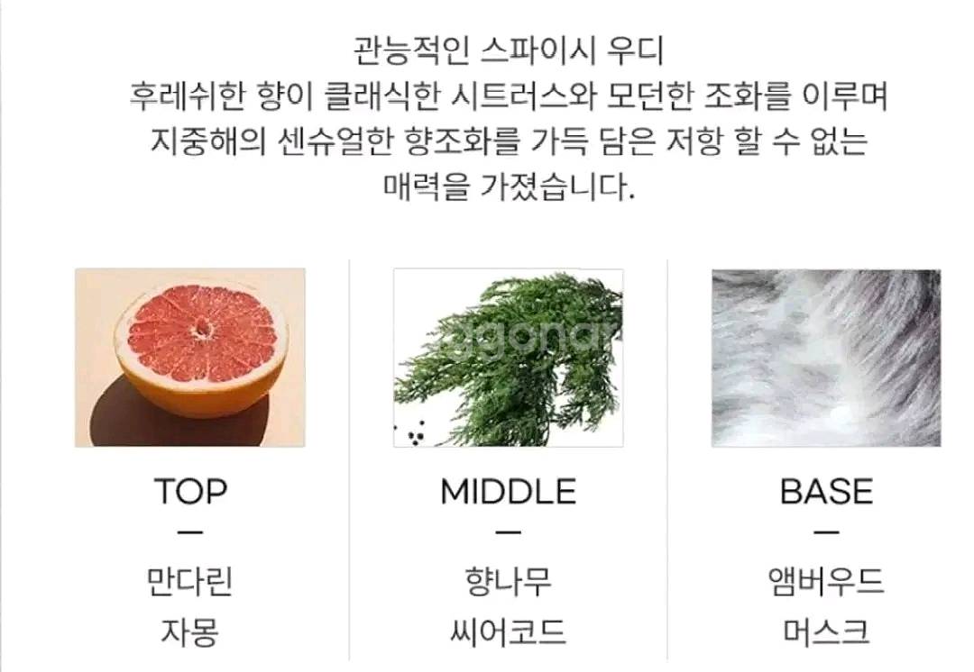 돌체 라이트블루 오인텐스 뿌르옴므 오드퍼퓸 100ml--4