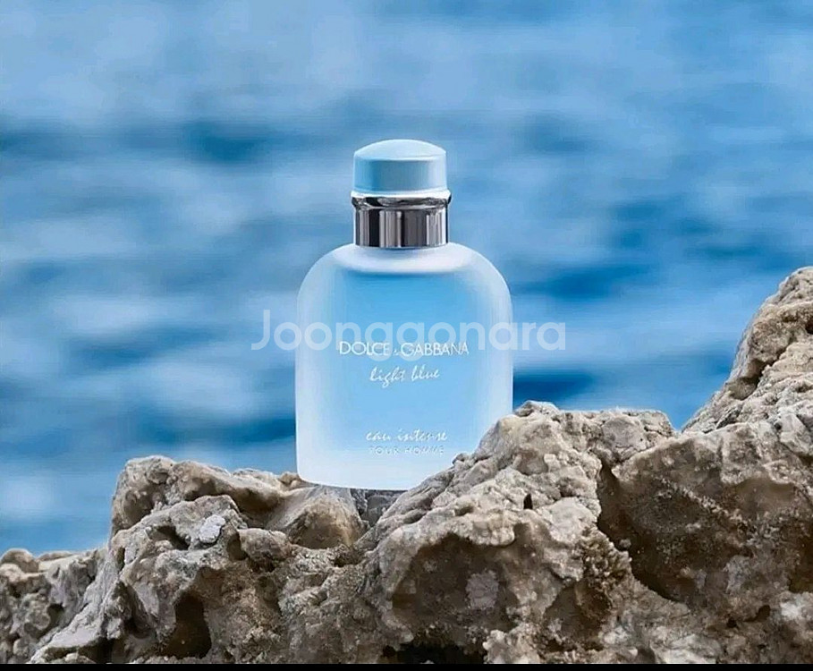 돌체 라이트블루 오인텐스 뿌르옴므 오드퍼퓸 100ml--3