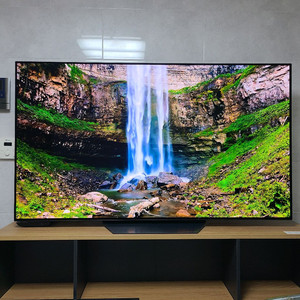 LG올레드 TV OLED65B2ENA