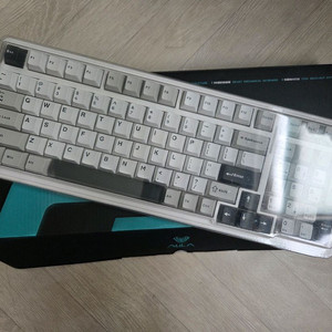 독거미F99 회목축
