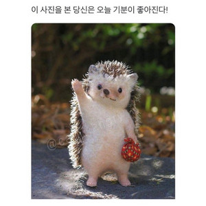 고문사 영양과 식사요법 pdf 간호 구합니다 !!!