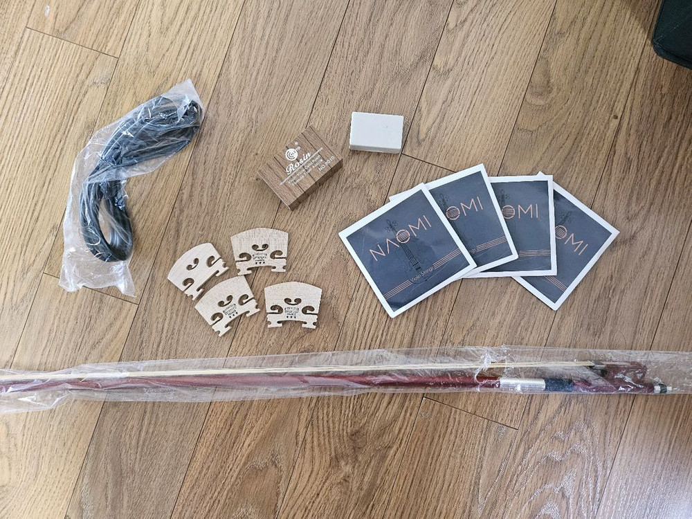 나오미 전자바이올린--2