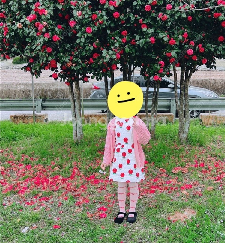 베베드피노 튤립퍼프가디건+원피스 130--5