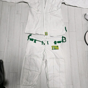 인버티드기어 A0 도복