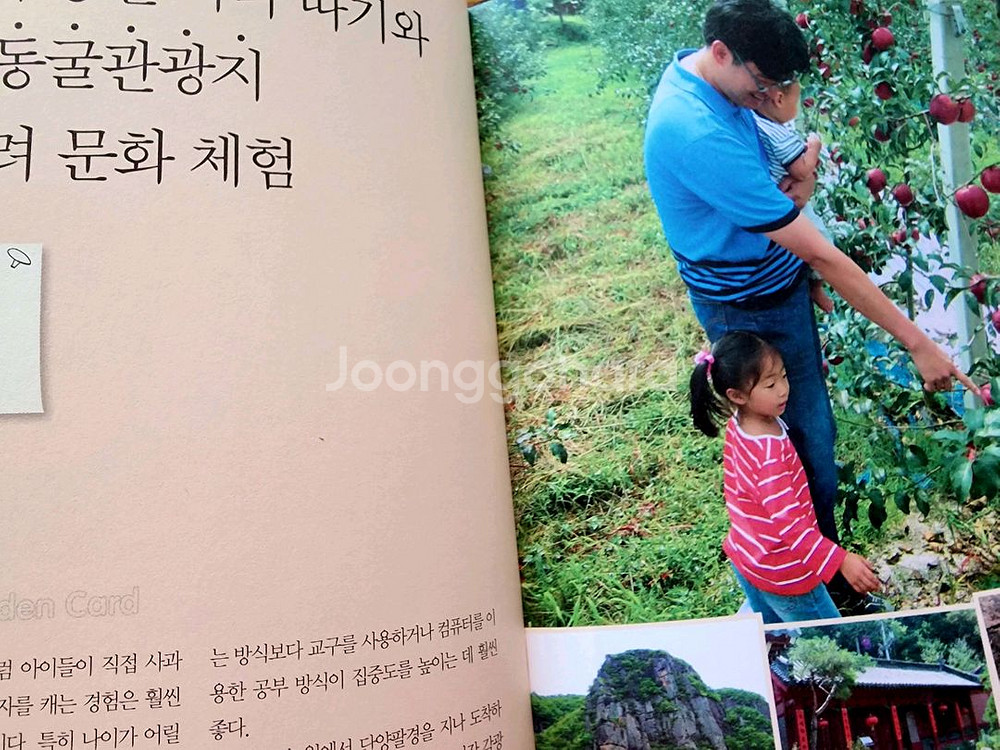 (여행책)우리 아이 재능 개발 여행--2