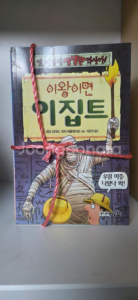 주니어 김영사 앗시리즈 34권--1