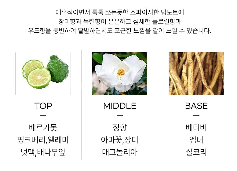 모스키노 토이보이 오드퍼퓸 100ml--1