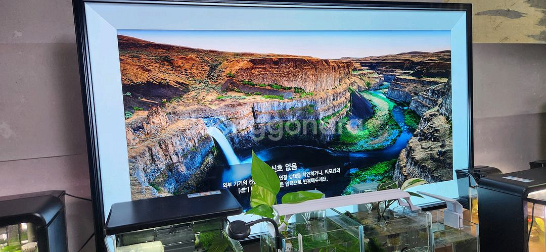 lg 55인치 oled 55c8fna 팝니다--0
