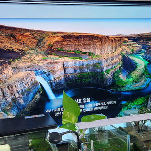 lg 55인치 oled 55c8fna 팝니다