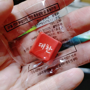 키보드 대한 키캡